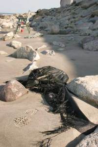 MG_5038.09.18.06.jpg
